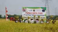 IMG-20200721-WA0031