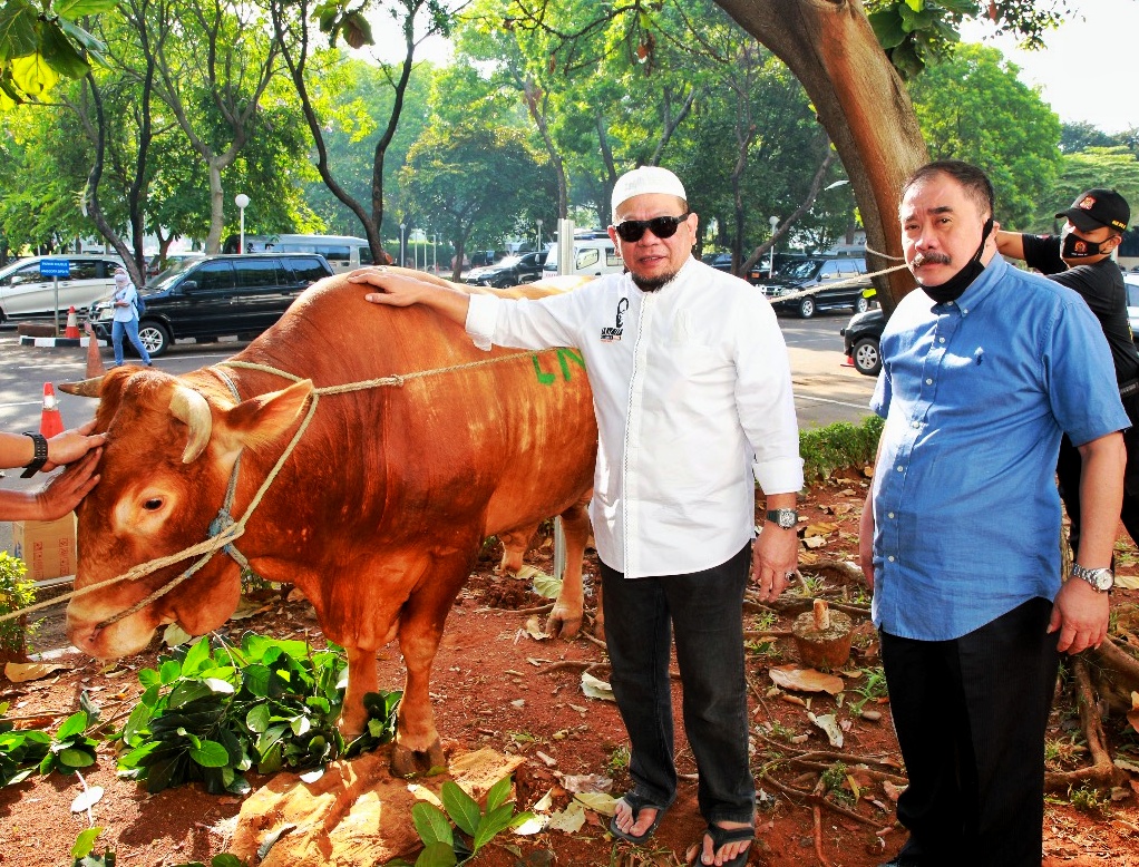 WhatsApp Image 2021-01-07 at 18.02.14