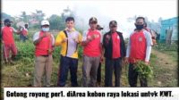 IMG-20210622-WA0017