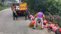 IMG-20220501-WA0018