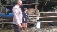 IMG-20220527-WA0023