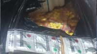 IMG-20220922-WA0008