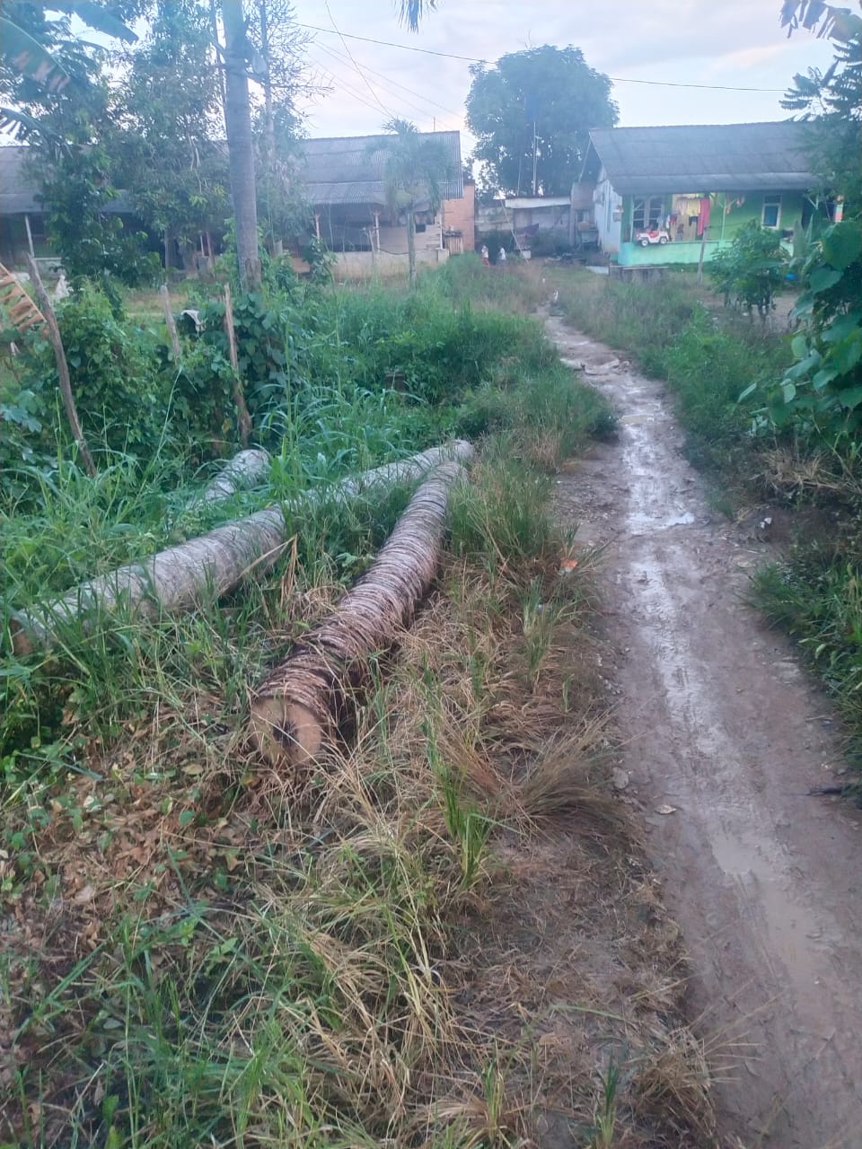 Warga Pasar Baru Menggala Berharap Pemkab Tuba Segera Perbaiki Gorong-Gorong dan Jalan Rusak Parah.