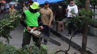 Pastikan Posko Klaim Asuransi Pohon Tumbang Tersedia bagi Para Korban