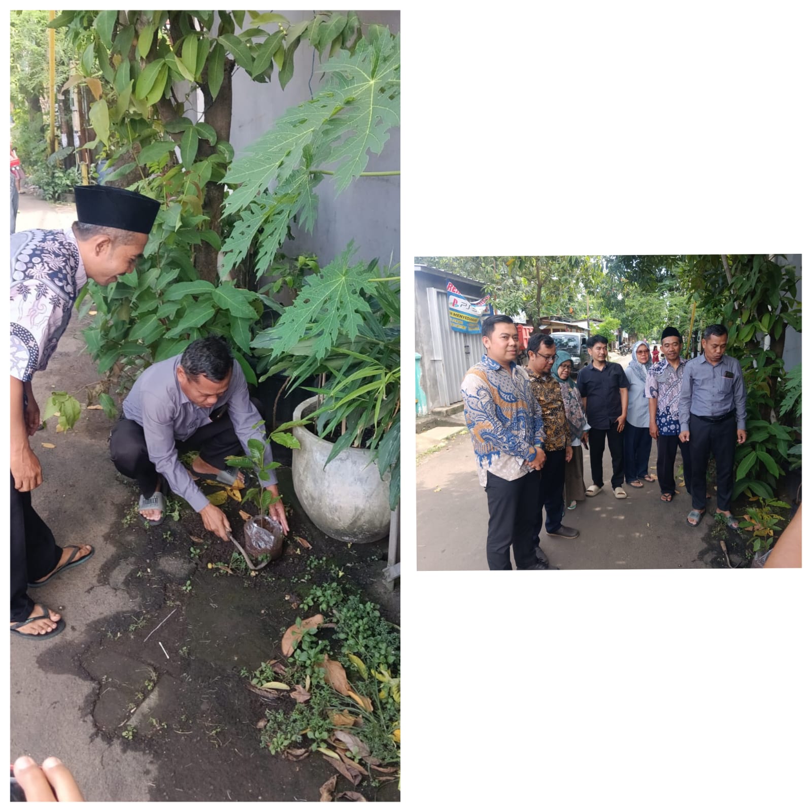KUA Serpong Utara Tanam 1 Juta Pohon Matoa, Upaya Kemenag RI Lestarikan Alam.