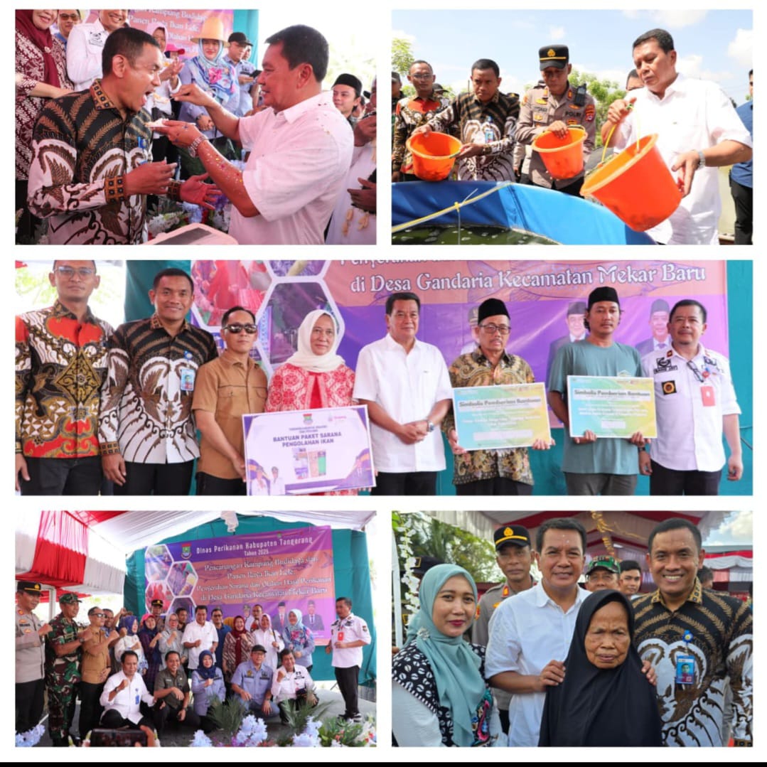 Kecamatan Mekar Baru Gelar Panen Raya Budidaya Dihadiri Bupati Tangerang.