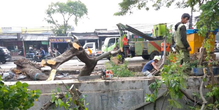 Disbudpar Kota Tangerang dengan Cepat Telah Mengevakuasi Pohon Tumbang.