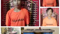 Polsek Penawartama Gagalkan Aksi Pencurian Sawit di PT SIP, Ringkus Tiga Pelaku Termasuk Residivis