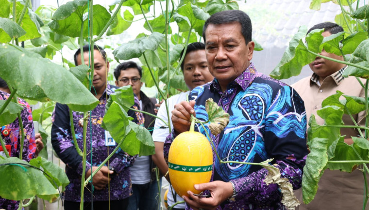 Bupati Tangerang Panen Melon Hidroponik, Bukti Pertanian Modern Menjanjikan. Bupati Tangerang Panen Melon Hidroponik, Bukti Pertanian Modern Menjanjikan.