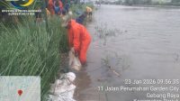 Perkuat Tanggul Darurat, PUPR Kota Tangerang Distribusikan Ribuan Kisdam