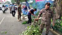Pohon Tumbang di Jalan Gatot Subroto, Satgas Jatiuwung Amankan Akses Lalu Lintas