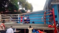 Seleksi Tinju PPLPD–Puslatcab Kota Tangerang Digelar, Fokus Siapkan Atlet Berprestasi
