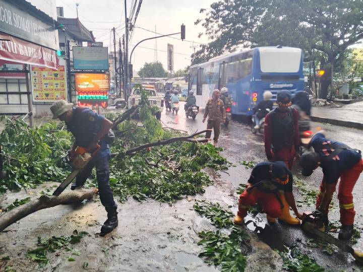 Petugas Trantib Kecamatan Larangan bersama Damkar UPT Ciledug gerak cepat tangani pohon tumbang di Jl. HOS Cokroaminoto, kawasan Puribeta 2, Kelurahan Larangan Utara, Kecamatan Larangan, Kota Tangerang. Sumber : Kecamatan Larangan