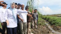 Serap Aspirasi Petani, Bupati Serang Bakal Perbaiki Saluran Irigasi di Tirtayasa