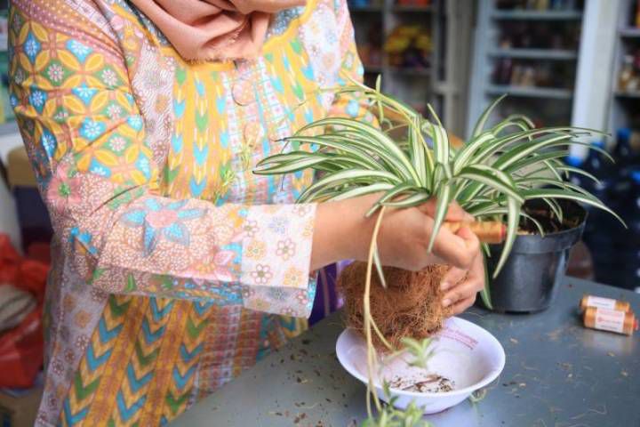 Dari Sampah Jadi Estetika, Warga Karang Tengah Olah Sabut Kelapa