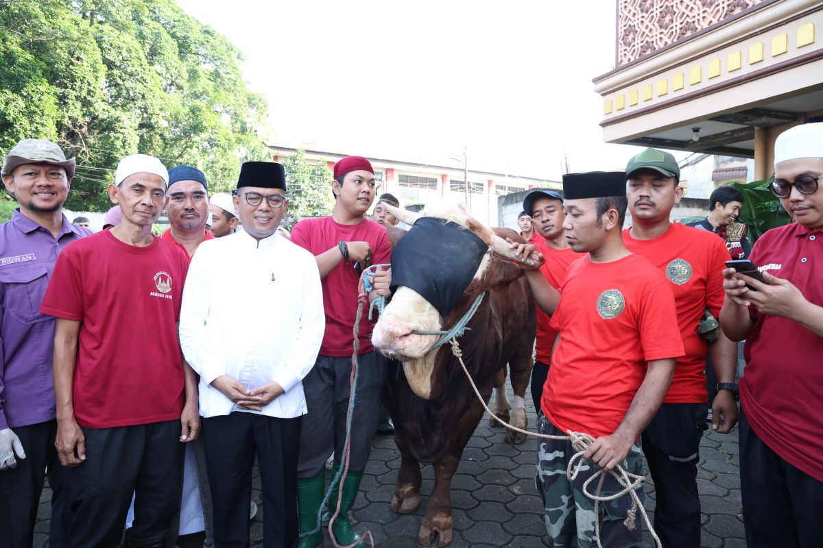 Gubernur Banten Andra Soni Serahkan Hewan Kurban Bantuan Presiden Prabowo untuk Warga Kreo.