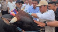 Bupati Tangerang Pastikan Hewan Kurban di Kabupaten Tangerang Penuhi Standar Kesehatan