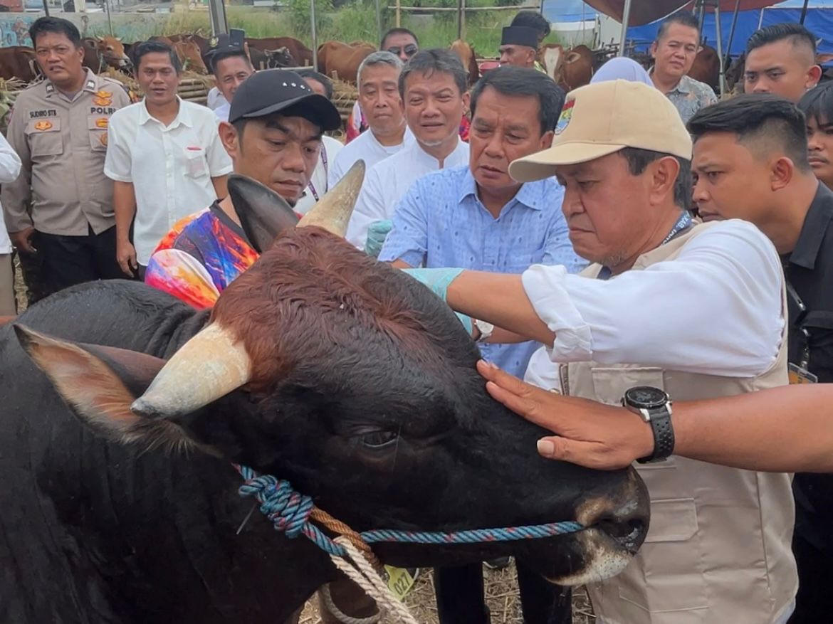 Bupati Tangerang Pastikan Hewan Kurban di Kabupaten Tangerang Penuhi Standar Kesehatan