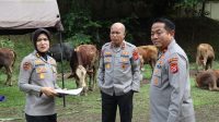 Polda Banten Salurkan 70 Sapi & 5 Domba Qurban ke Masyarakat