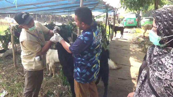 DKP Kota Tangerang Siagakan Ratusan Petugas untuk Awasi Pelaksanaan Kurban