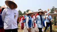 Kabupaten Serang jadi Pilot Project Kampung Holtikultura Gerakan Perempuan Pangan IWAPI