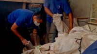 Ratusan Ton Pakan Ternak dari Lapas Sumedang untuk Indonesia.