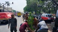 Jaga Kerapian Kota, Kecamatan Jatiuwung Lakukan Penataan Median Jalan Gatot Subroto.