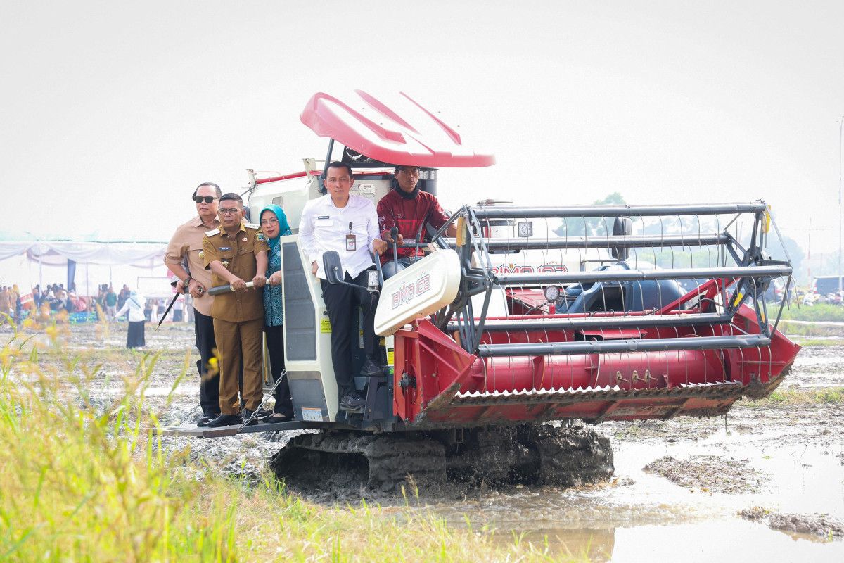 Penerapan Pertanian Modern PM-AAS Tingkatkan Produktivitas dan Kesejahteraan Petani Banten
