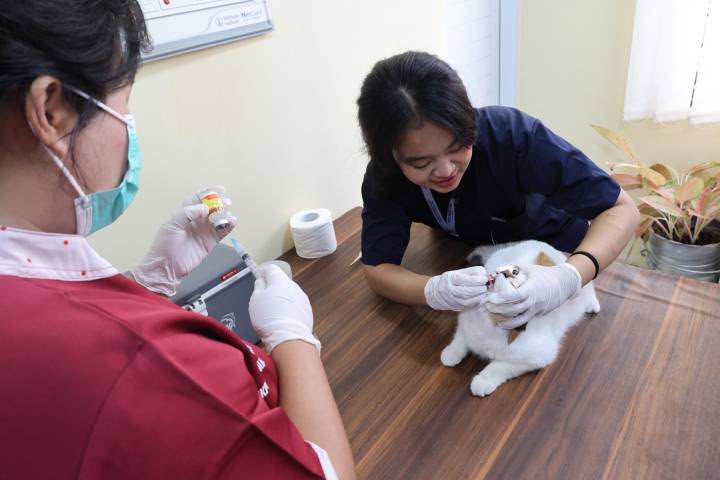 Peringati World Rabies Day 2026, DKP Kota Tangerang Gelar Vaksinasi Rabies Gratis untuk Hewan Peliharaan