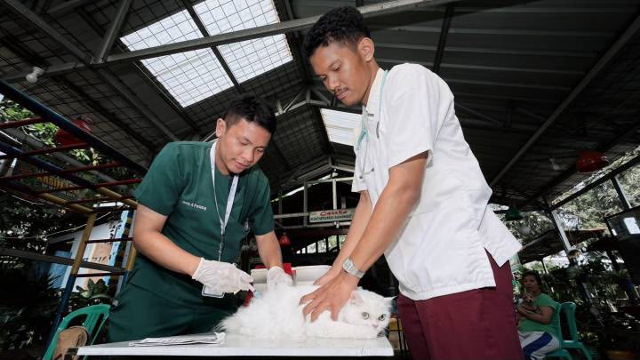 DKP Kota Tangerang Gelar Vaksin Gratis Anabul di Kampung Mangga Periuk